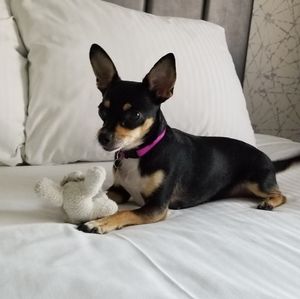 Meet your Posher, Heidy